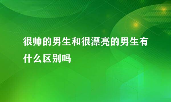 很帅的男生和很漂亮的男生有什么区别吗