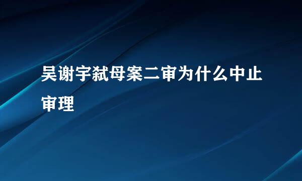 吴谢宇弑母案二审为什么中止审理