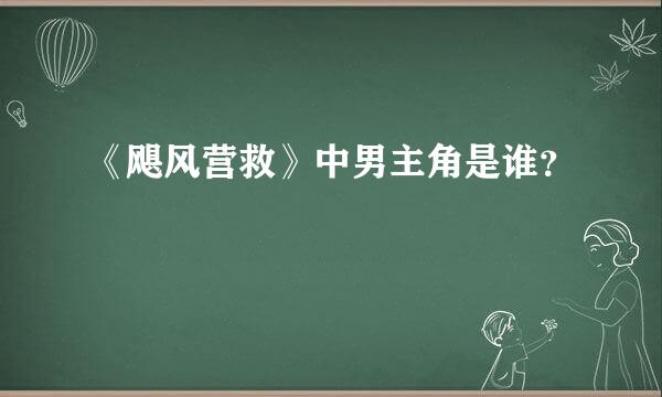 《飓风营救》中男主角是谁？