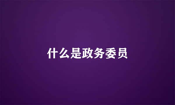 什么是政务委员