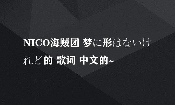 NICO海贼团 梦に形はないけれど的 歌词 中文的~