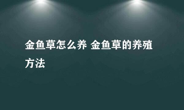 金鱼草怎么养 金鱼草的养殖方法