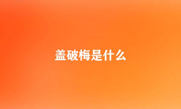 盖破梅是什么