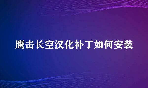 鹰击长空汉化补丁如何安装