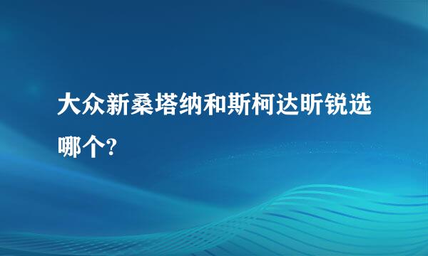 大众新桑塔纳和斯柯达昕锐选哪个?