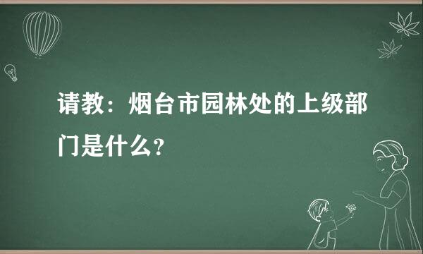 请教：烟台市园林处的上级部门是什么？