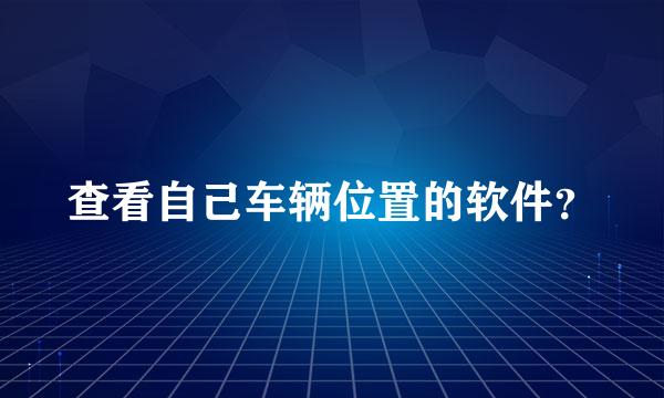 查看自己车辆位置的软件？