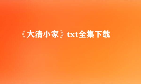 《大清小家》txt全集下载