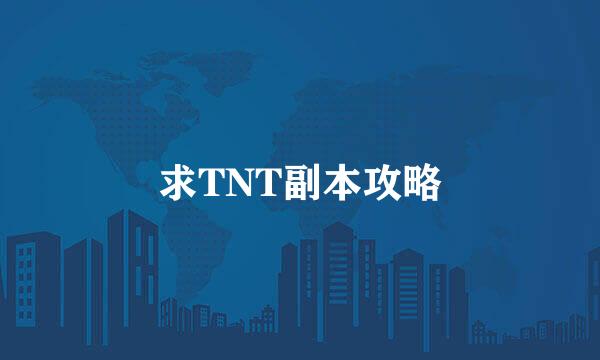 求TNT副本攻略