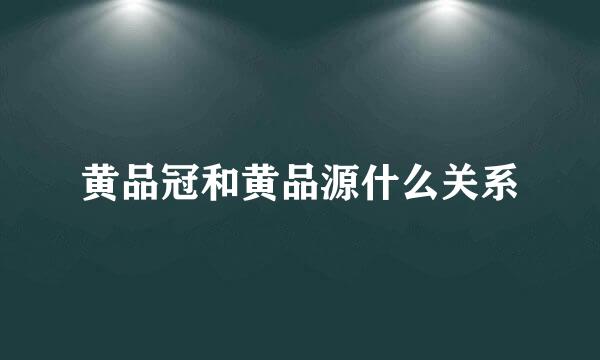 黄品冠和黄品源什么关系