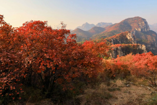 保定旅游景点排行榜前十名