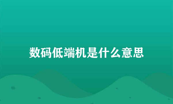 数码低端机是什么意思