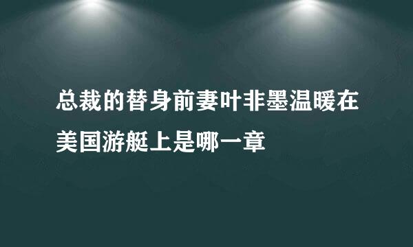 总裁的替身前妻叶非墨温暖在美国游艇上是哪一章