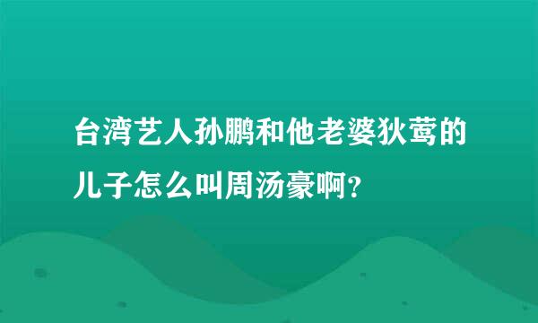 台湾艺人孙鹏和他老婆狄莺的儿子怎么叫周汤豪啊？