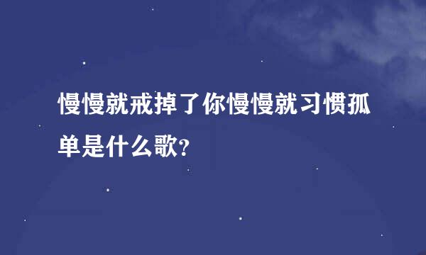 慢慢就戒掉了你慢慢就习惯孤单是什么歌？