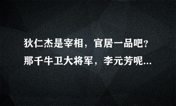 狄仁杰是宰相，官居一品吧？那千牛卫大将军，李元芳呢？官居几品？那