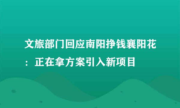 文旅部门回应南阳挣钱襄阳花：正在拿方案引入新项目