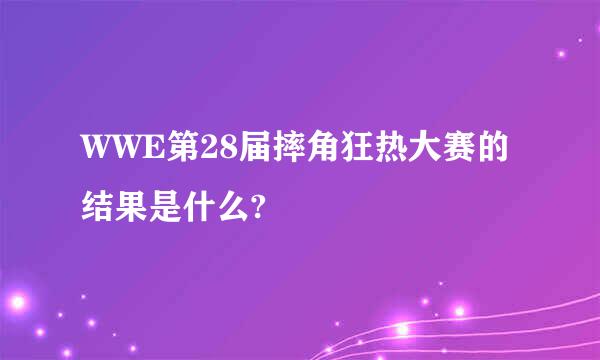 WWE第28届摔角狂热大赛的结果是什么?