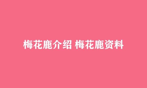 梅花鹿介绍 梅花鹿资料