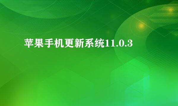 苹果手机更新系统11.0.3