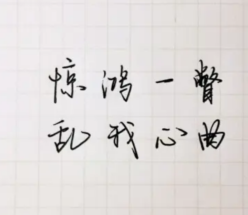 惊鸿一瞥的神仙句子