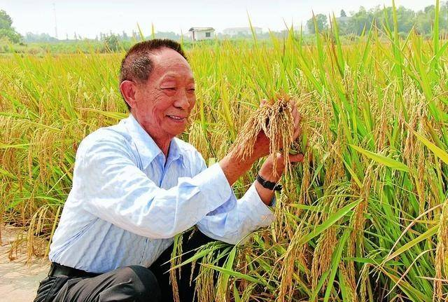 大叔制作泥塑致敬袁隆平，你知道还有什么特别的致敬方式吗？