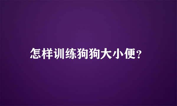 怎样训练狗狗大小便？