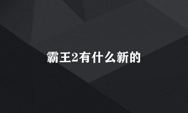 霸王2有什么新的