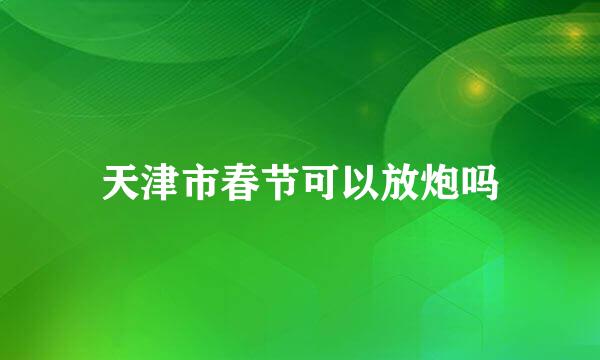 天津市春节可以放炮吗