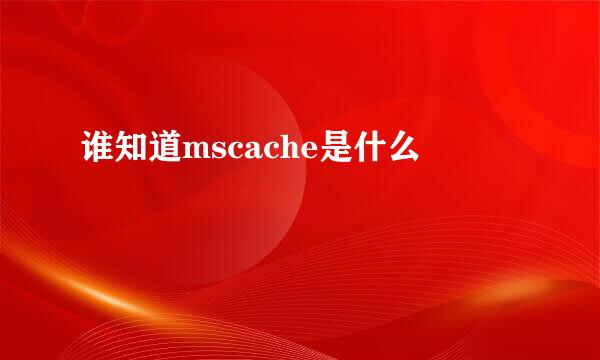 谁知道mscache是什么