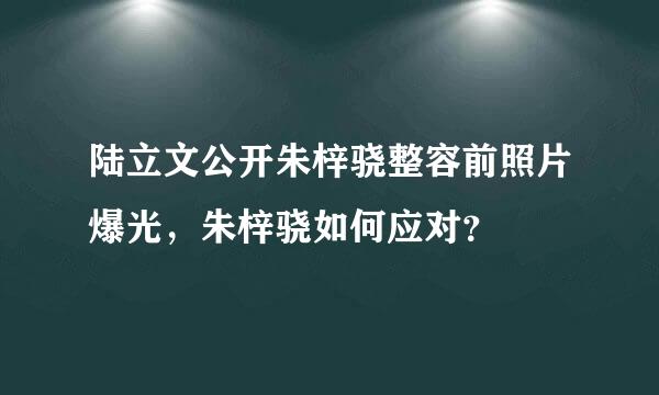 陆立文公开朱梓骁整容前照片爆光，朱梓骁如何应对？