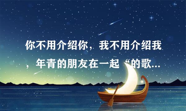 你不用介绍你，我不用介绍我，年青的朋友在一起“的歌名是什么？