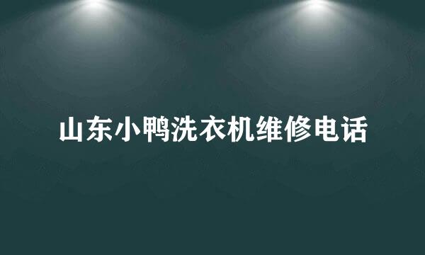 山东小鸭洗衣机维修电话