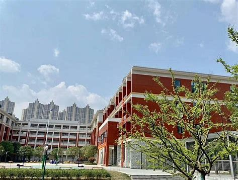 湖南师大研究生将入住长沙一高中？相关中学对此作何回应？