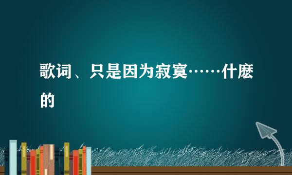 歌词、只是因为寂寞……什麽的