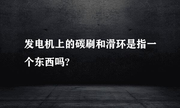 发电机上的碳刷和滑环是指一个东西吗?