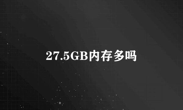 27.5GB内存多吗