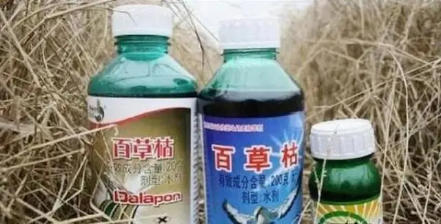 百草枯女孩现状，已出院回驻马店，她现在是彻底没救了吗？