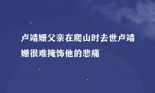 卢靖姗父亲在爬山时去世卢靖姗很难掩饰他的悲痛