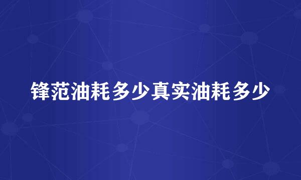 锋范油耗多少真实油耗多少