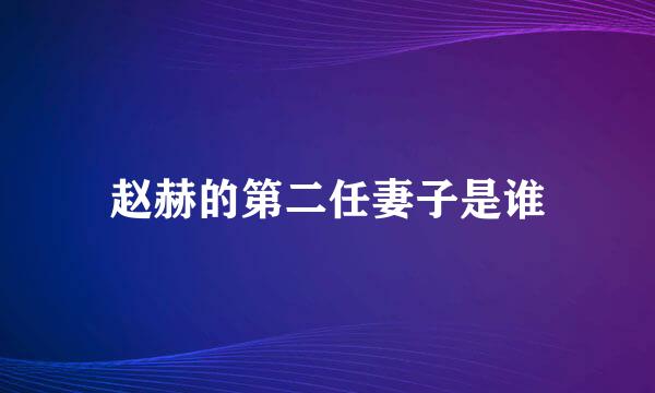 赵赫的第二任妻子是谁