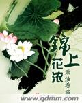 《锦上花浓》txt全集下载