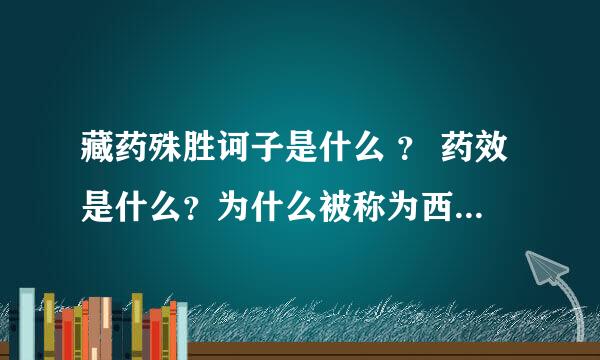 藏药殊胜诃子是什么 ？ 药效是什么？为什么被称为西藏最珍贵的药？