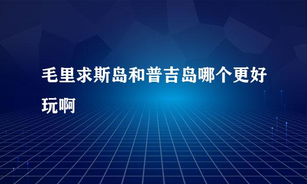 毛里求斯岛和普吉岛哪个更好玩啊