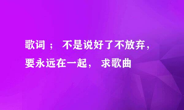 歌词 ； 不是说好了不放弃，要永远在一起， 求歌曲