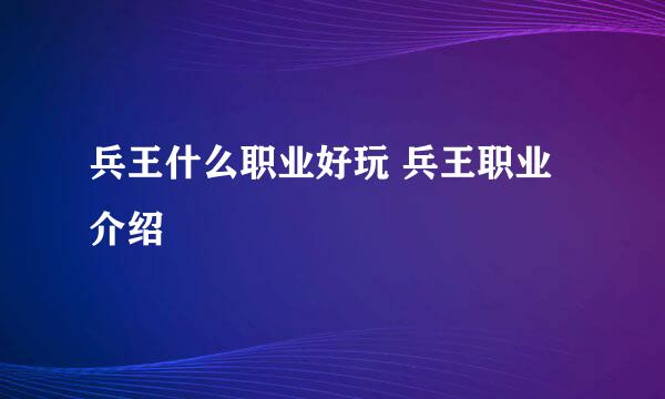 兵王什么职业好玩 兵王职业介绍