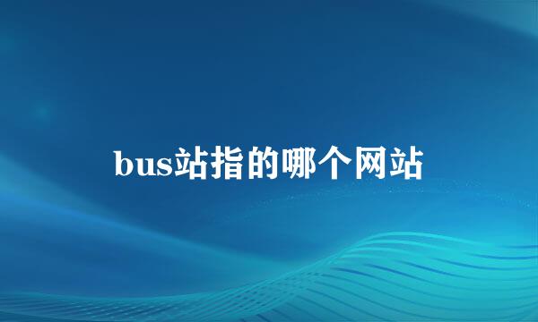 bus站指的哪个网站