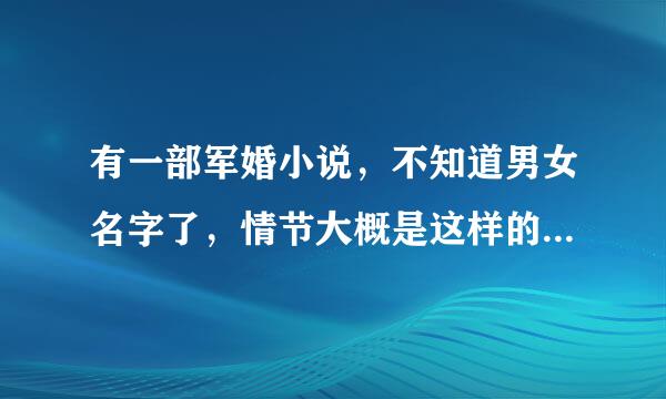 有一部军婚小说，不知道男女名字了，情节大概是这样的：女主角白天是一名银行职员，晚上则是一名网络小说