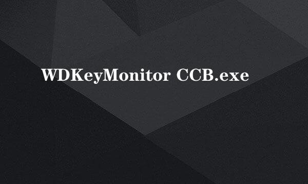 WDKeyMonitor CCB.exe