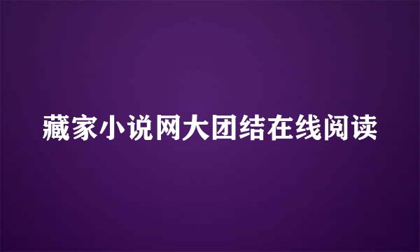 藏家小说网大团结在线阅读